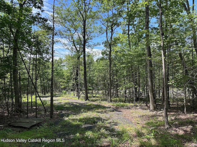 Tbd Echo Hill, Saugerties, NY 12477 - photo 2