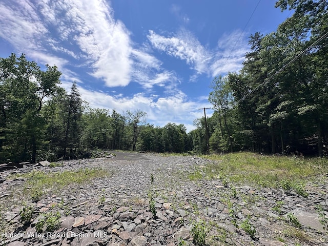 Tbd Echo Hill, Saugerties, NY 12477 - photo 1