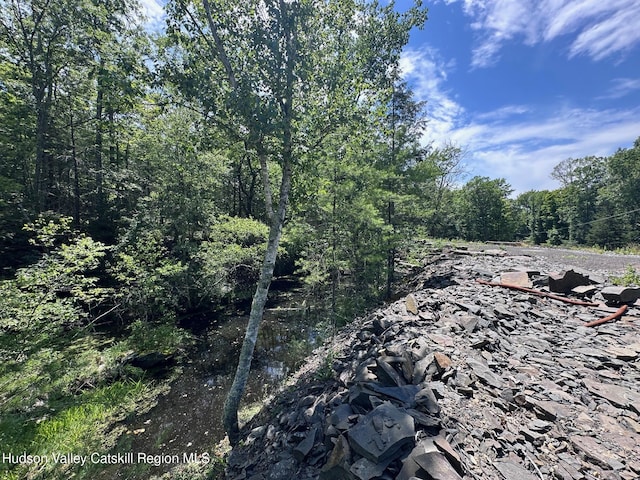 Tbd Echo Hill, Saugerties, NY 12477 - photo 8