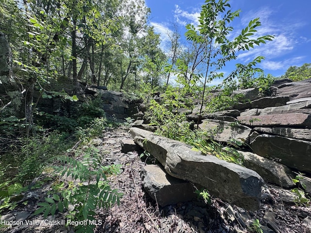 Tbd Echo Hill, Saugerties, NY 12477 - photo 6