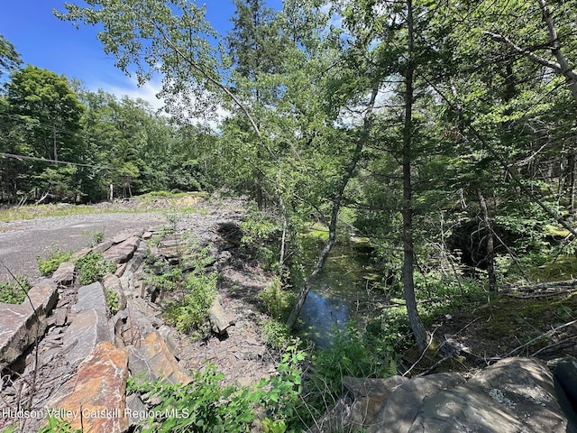 Tbd Echo Hill, Saugerties, NY 12477 - photo 3