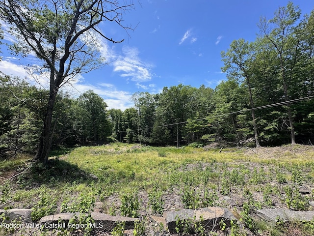 Tbd Echo Hill, Saugerties, NY 12477 - photo 4