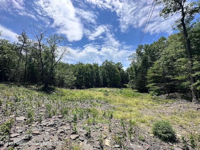 Tbd Echo Hill, Saugerties, NY 12477 - photo 9