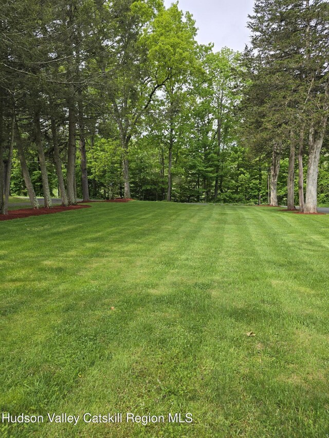 280 Continental Rd, Napanoch, NY 12489 - view of grassy yard