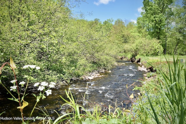 7 Bonnie Brook Rd, Roscoe, NY 12776 - photo 4