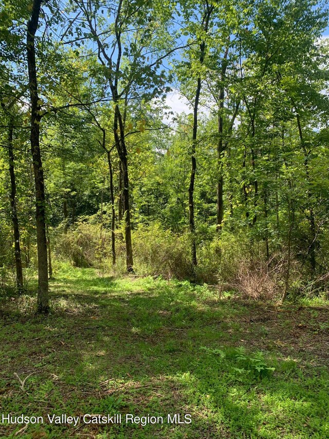 LOTS3-4 Granite Rd, Accord, NY 12404