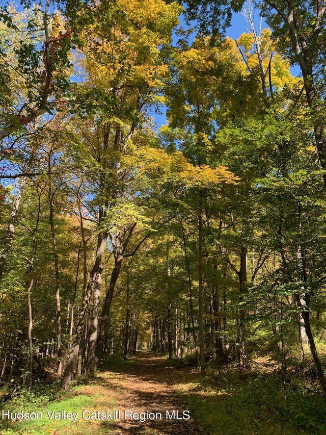 LOTS3-4 Granite Rd, Accord, NY 12404