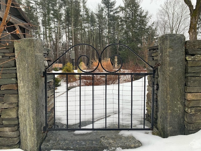  - view of snow covered gate