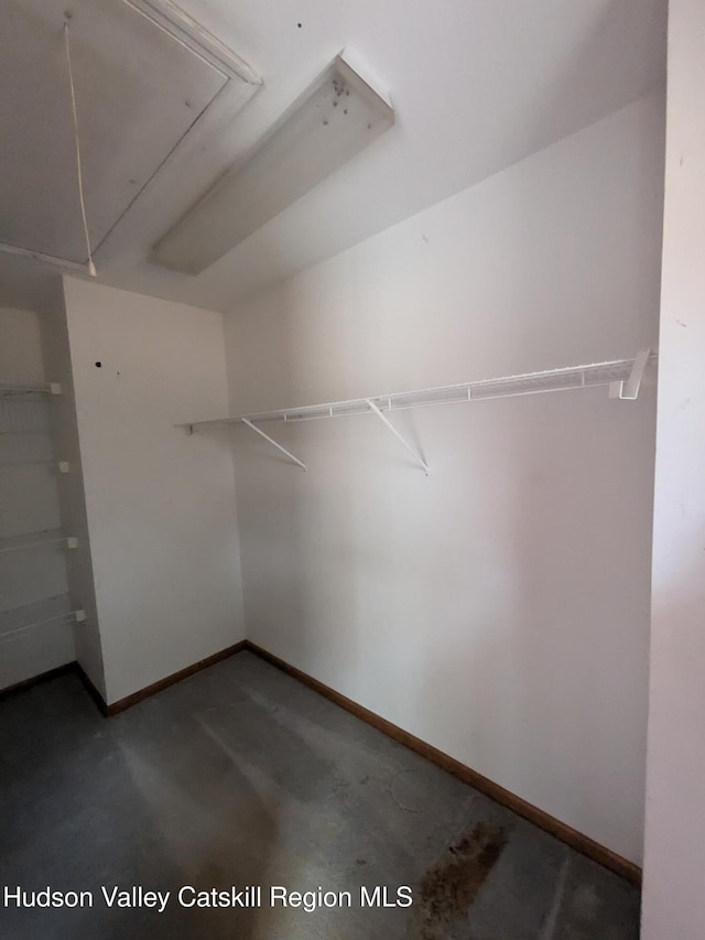 view of spacious closet