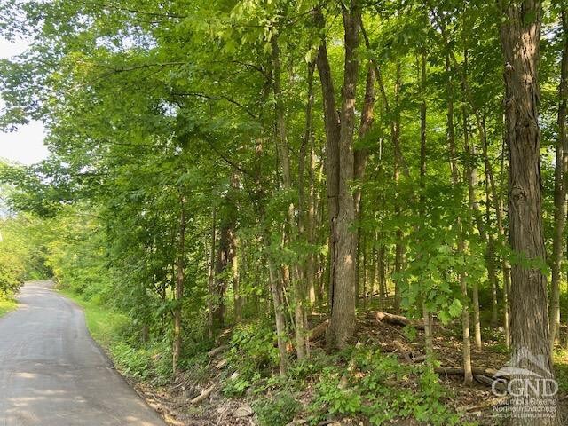 0 Thomas Rd, Craryville, NY 12513 - photo 9