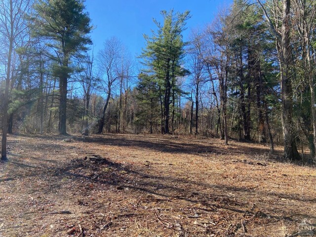 0 Thomas Rd, Craryville, NY 12513 - photo 4