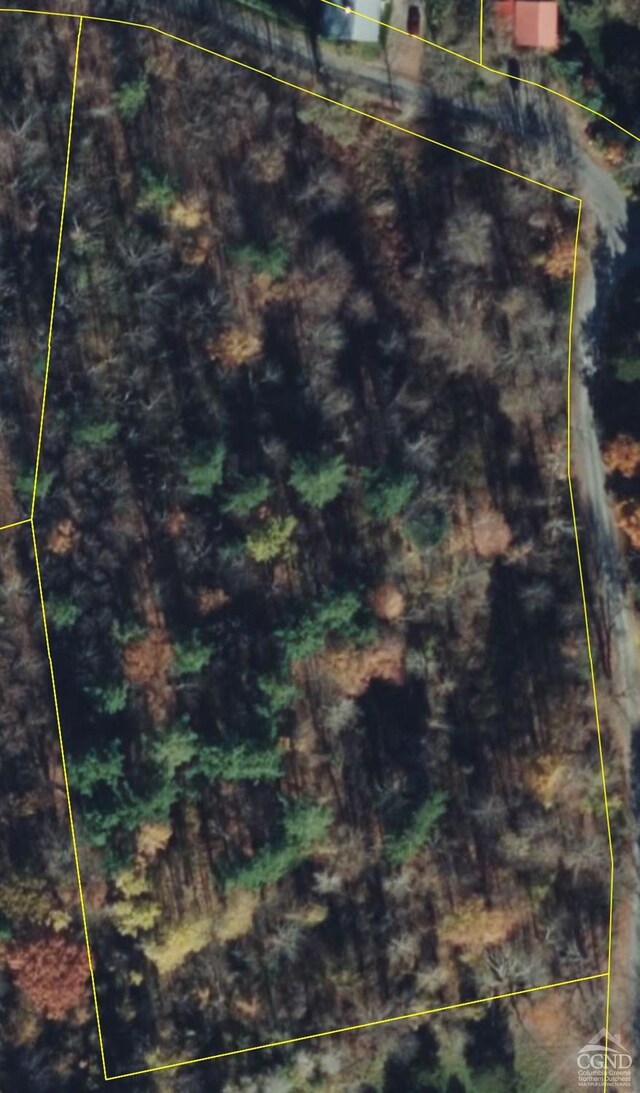 0 Thomas Rd, Craryville, NY 12513 - photo 10