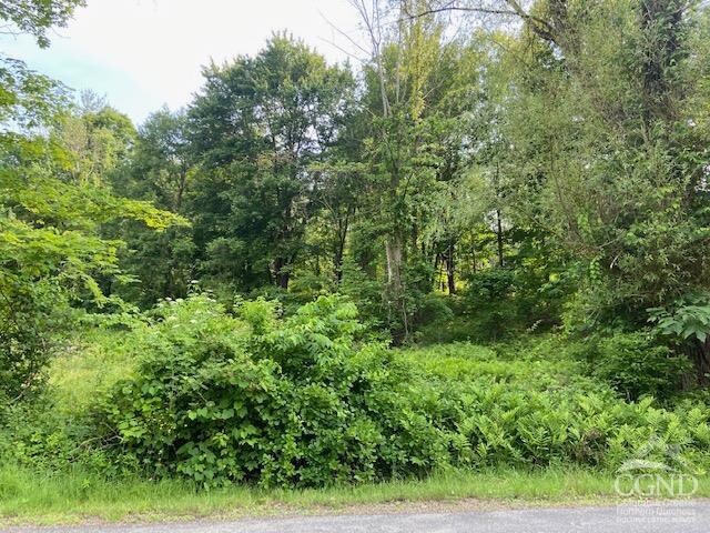 0 Thomas Rd, Craryville, NY 12513 - photo 8