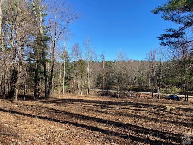 0 Thomas Rd, Craryville, NY 12513 - photo 1