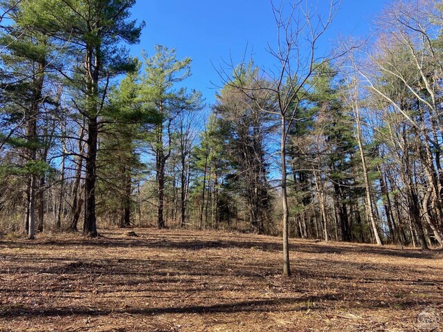 0 Thomas Rd, Craryville, NY 12513 - photo 5