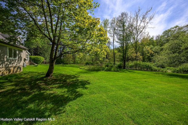 11351 State Rte 22, Austerlitz, NY 12017 - view of green lawn