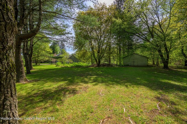 11351 State Rte 22, Austerlitz, NY 12017 - view of grassy yard with an outdoor structure
