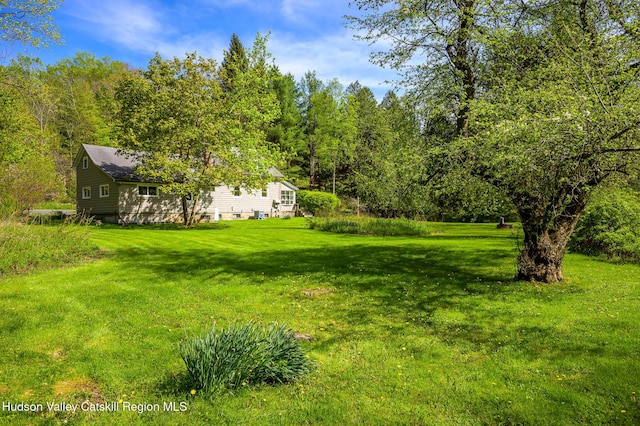 11351 State Rte 22, Austerlitz, NY 12017 - view of grassy yard