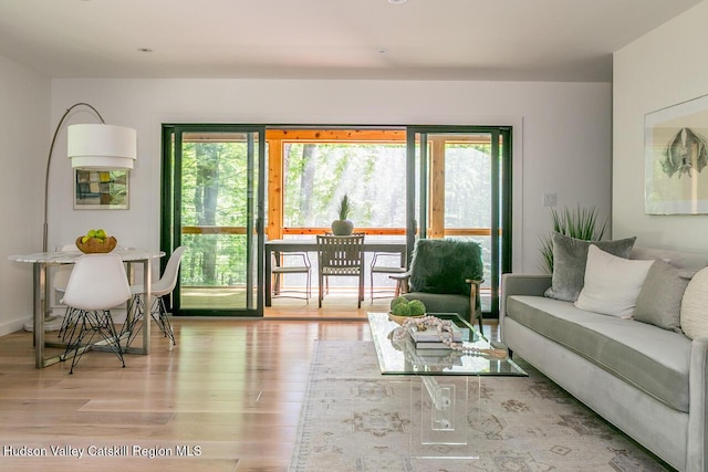 30 Little Deer Rd, Mount Tremper, NY 12457 - living area with plenty of natural light and wood finished floors