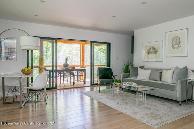 30 Little Deer Rd, Mount Tremper, NY 12457 - living room featuring wood finished floors