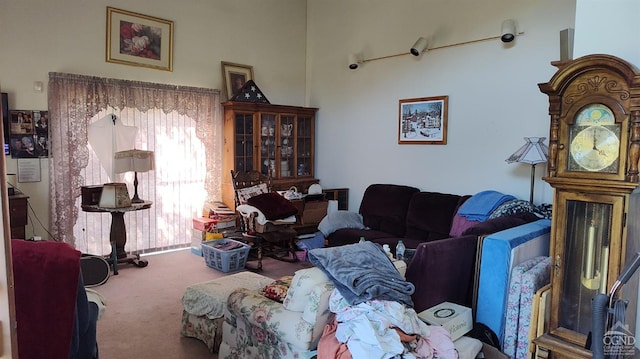 531 County Route 45, Earlton, NY 12058 - carpeted living area with a towering ceiling