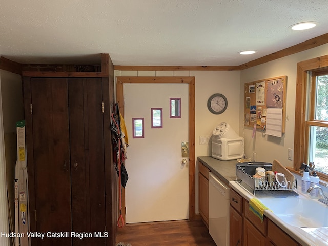 89 Bloomingdale Rd, Tillson, NY 12486 - kitchen with dishwasher, dark wood finished floors, a sink, recessed lighting, and light countertops