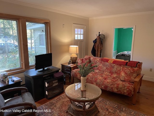 89 Bloomingdale Rd, Tillson, NY 12486 - living area featuring wood finished floors, ornamental molding, and baseboards