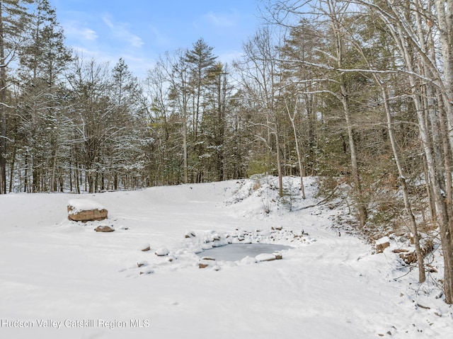 view of snowy landscape