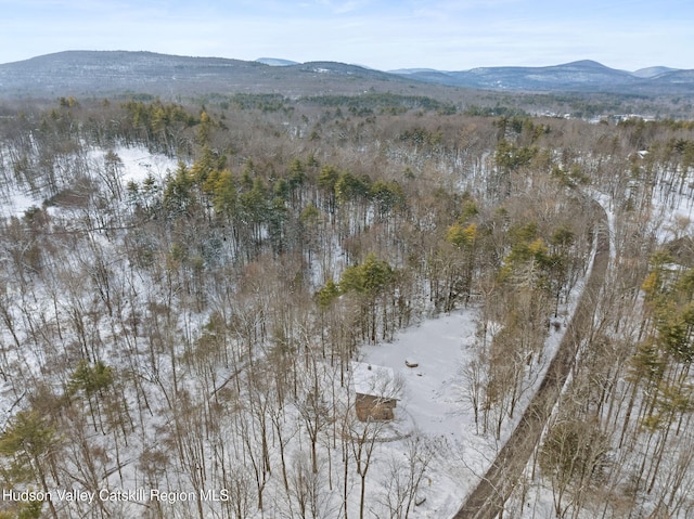 snowy aerial view with a mountain view