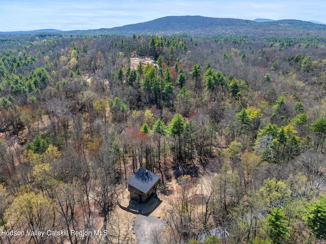 178 Chestnut Hill Rd, Woodstock, NY 12498 - photo 42