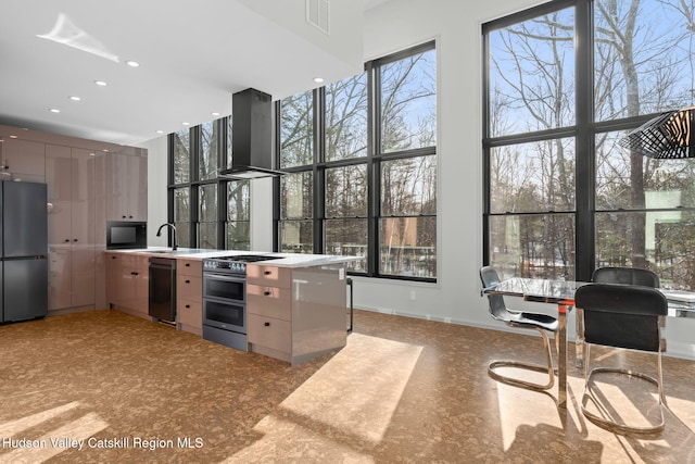 kitchen featuring a healthy amount of sunlight, stainless steel appliances, sink, and wall chimney range hood