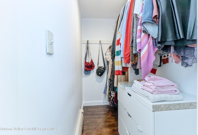 walk in closet featuring dark wood-type flooring