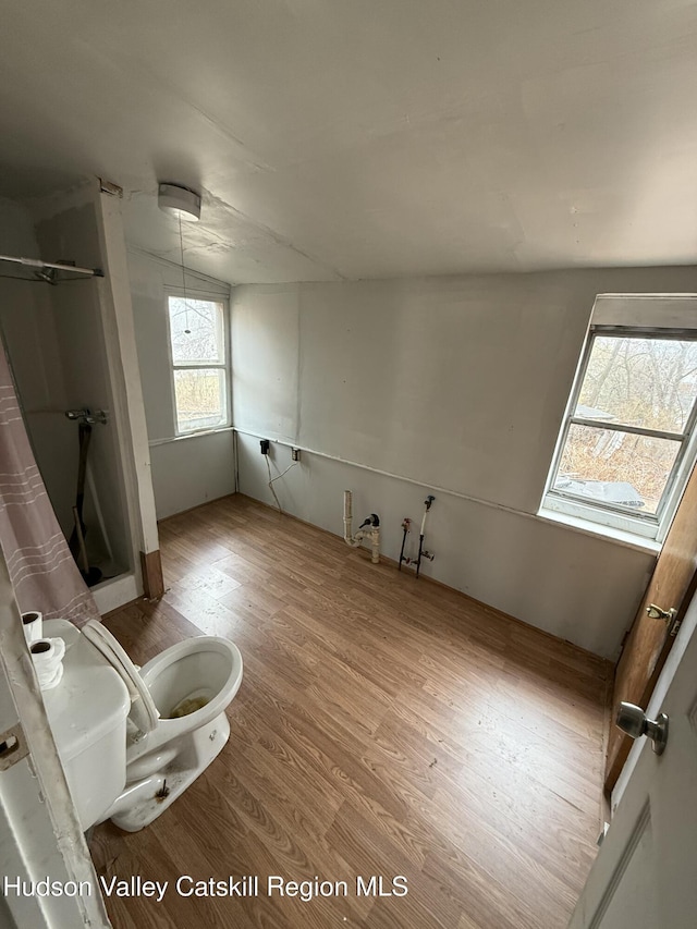 11 N Montgomery St, Athens, NY 12015 - bathroom featuring a shower stall, toilet, and wood finished floors