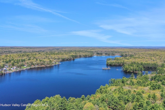 drone / aerial view with a water view and a view of trees