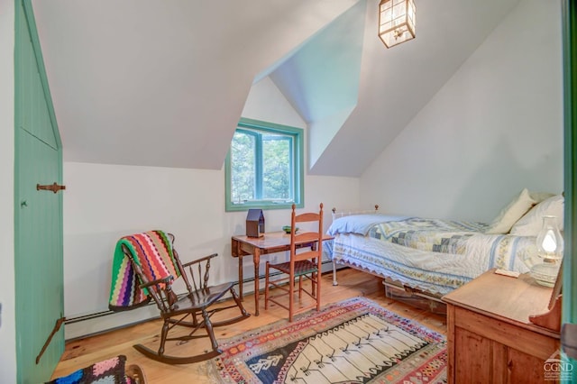 192 Old Queechy Rd, Canaan, NY 12029 - bedroom with wood finished floors, lofted ceiling, and a baseboard radiator