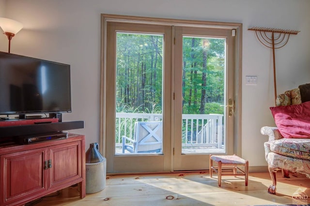 192 Old Queechy Rd, Canaan, NY 12029 - doorway featuring healthy amount of natural light