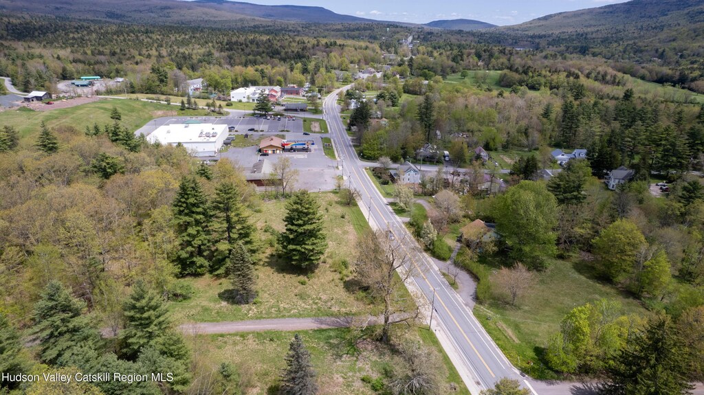 TBD Main St Unit Rt 23A, Tannersville, NY 12485 - photo 2