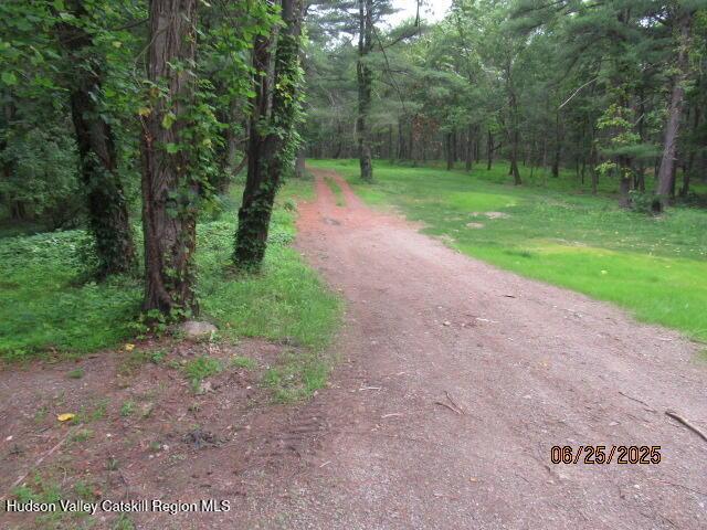 301 Mountain View Rd, Clinton Corners, NY 12514 - photo 2