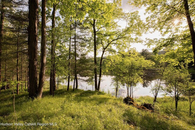 72 Old Queechy Rd, Canaan, NY 12029 - water view