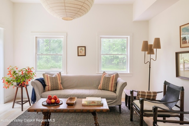 72 Old Queechy Rd, Canaan, NY 12029 - living room featuring wood finished floors
