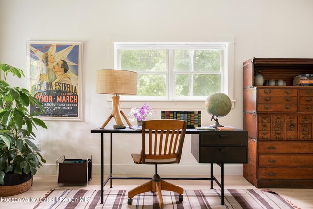 72 Old Queechy Rd, Canaan, NY 12029 - home office featuring plenty of natural light and wood finished floors