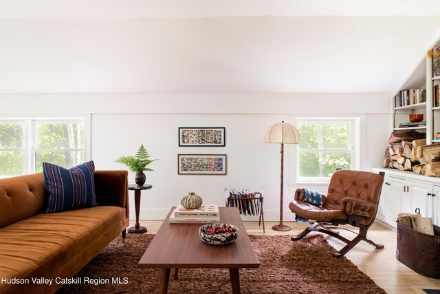 72 Old Queechy Rd, Canaan, NY 12029 - living room with light wood-style floors