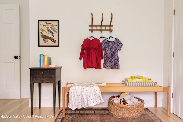 72 Old Queechy Rd, Canaan, NY 12029 - mudroom featuring wood finished floors