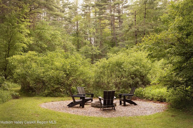 72 Old Queechy Rd, Canaan, NY 12029 - view of yard with a forest view and an outdoor fire pit