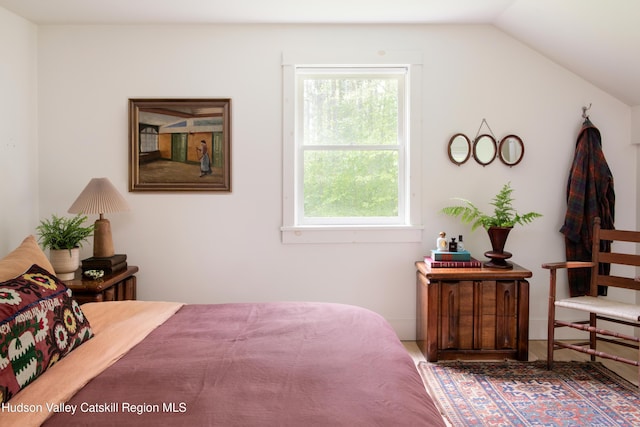 72 Old Queechy Rd, Canaan, NY 12029 - bedroom with multiple windows and vaulted ceiling