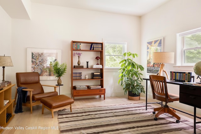 72 Old Queechy Rd, Canaan, NY 12029 - home office with wood finished floors