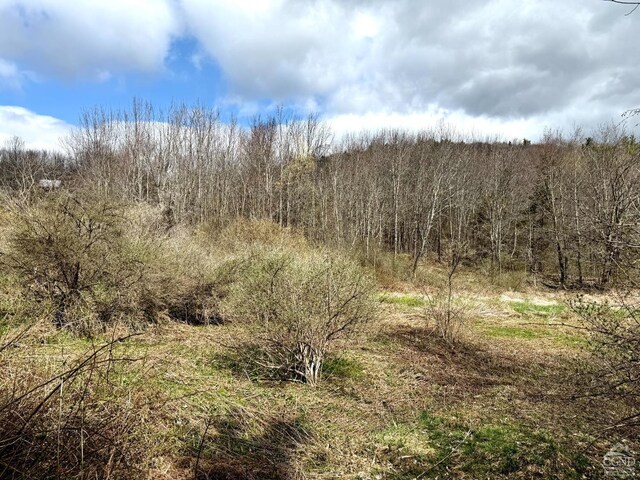 0 Charles Dent, Roxbury, NY 12434