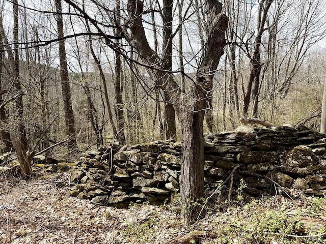 0 Charles Dent, Roxbury, NY 12434