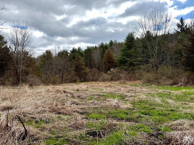 0 Charles Dent, Roxbury, NY 12434