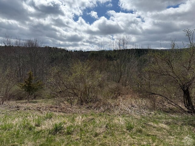 0 Charles Dent, Roxbury, NY 12434